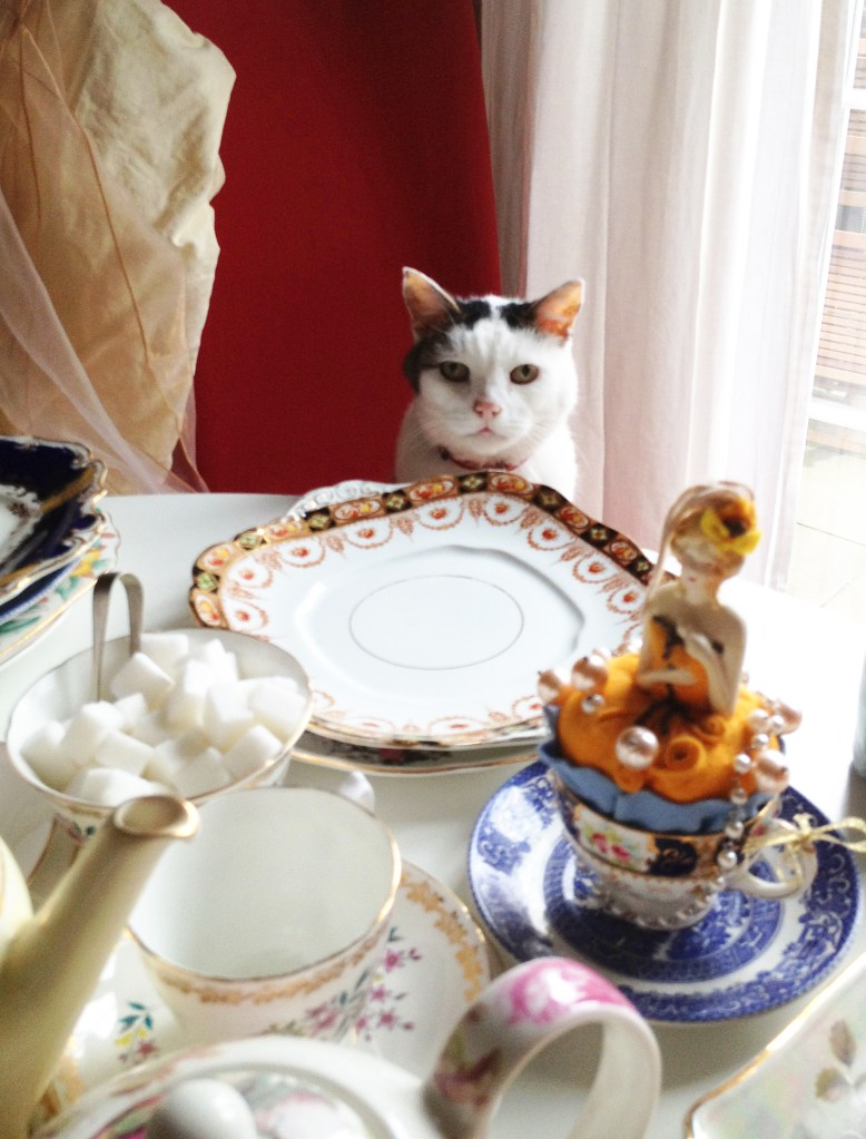 funny cat at the table funny cat at the table