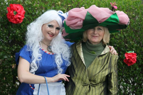 kitten von mew rose hat