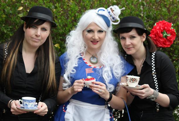 tweedle dum and tweedle dee with kitten von mew