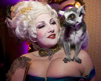 kitten von mew corset lemur