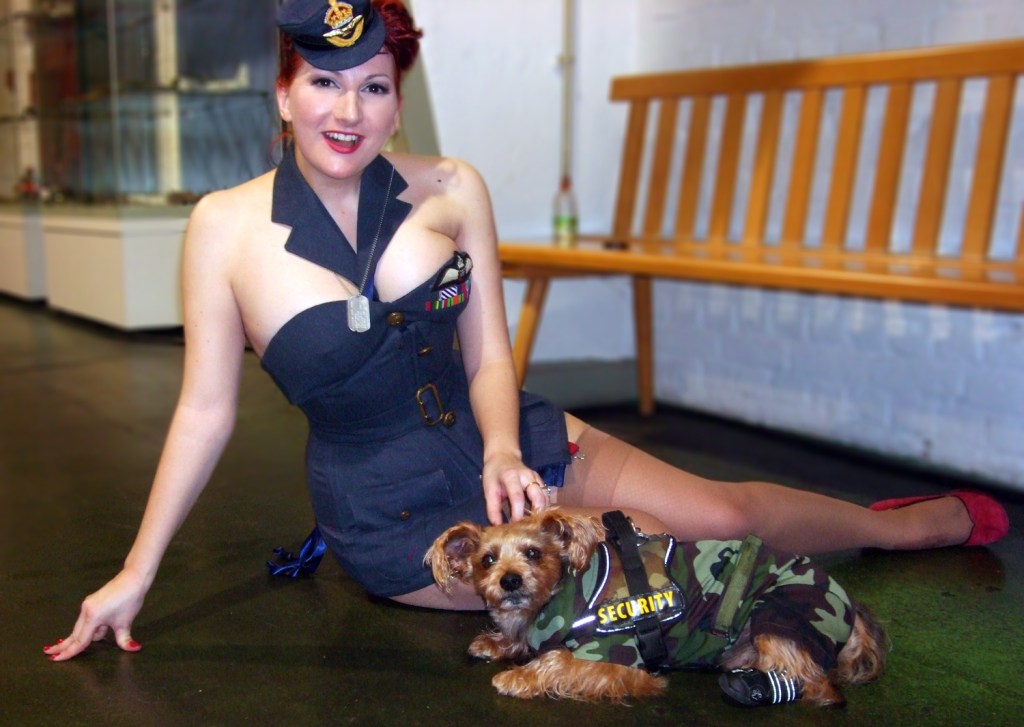 kitten von mews guard dog