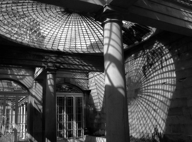 Conservatory Cobwebs by Kitten von Mew