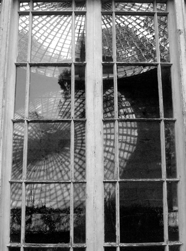 Alton Towers Conservatory Windon taken by Kitten von Mew