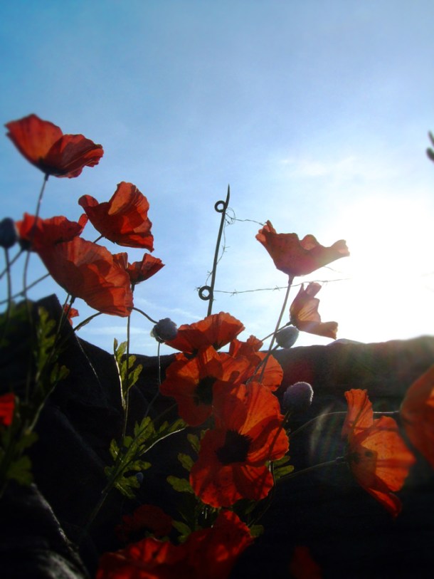 first-world-war-experience